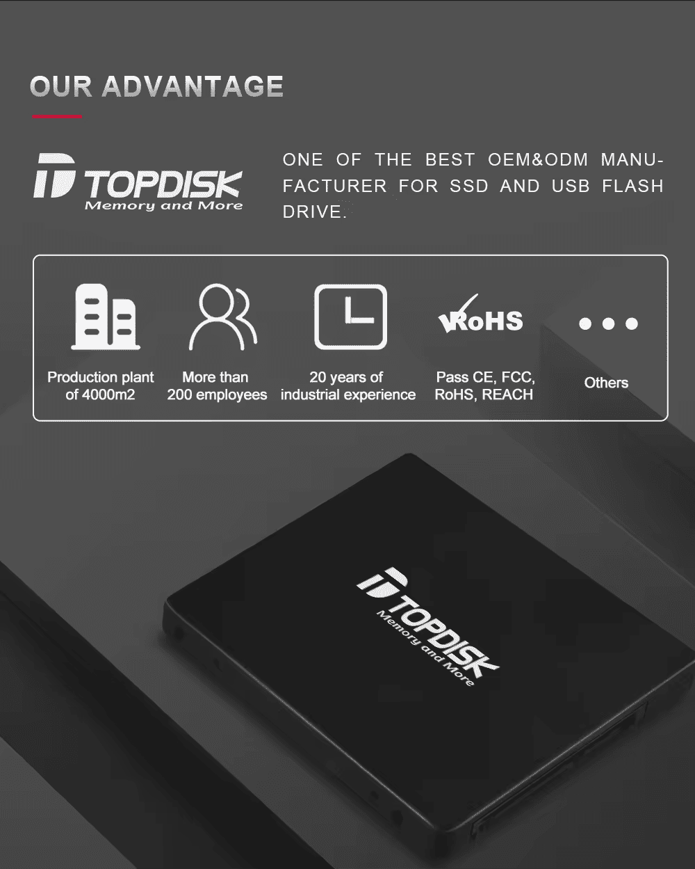 Topdisk SATA III SSD